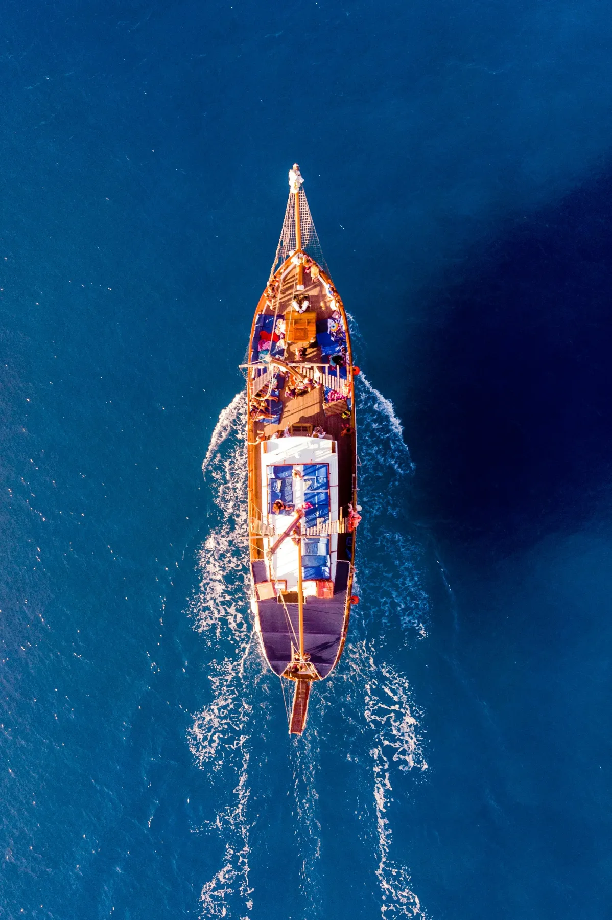 Longevity Financial Planner